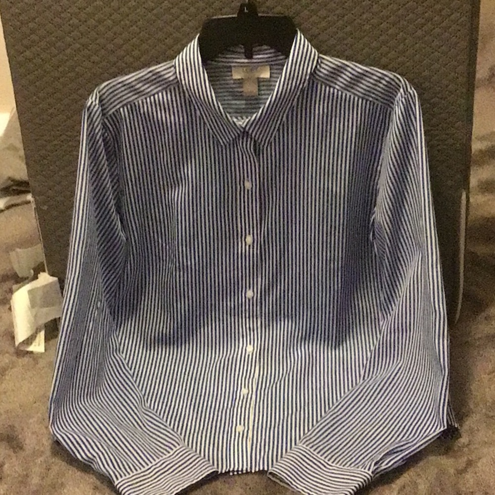 Classic Blue Striped Women’s Loft Shirt